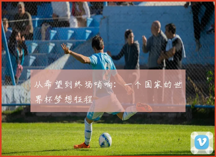 从希望到终场哨响：一个国家的世界杯梦想征程