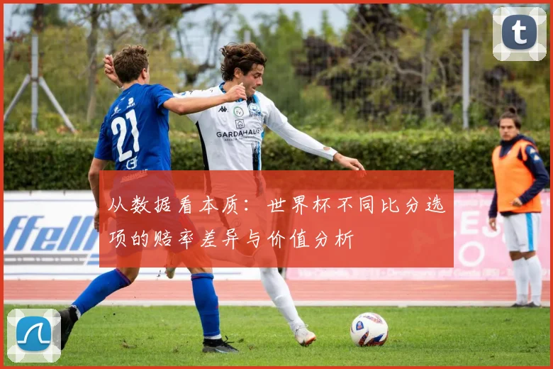 从数据看本质：世界杯不同比分选项的赔率差异与价值分析