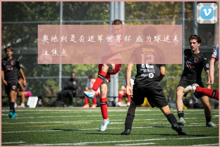 奥地利是否进军世界杯 成为球迷关注焦点