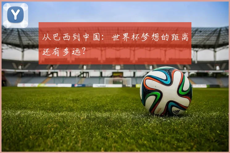 从巴西到中国：世界杯梦想的距离还有多远？